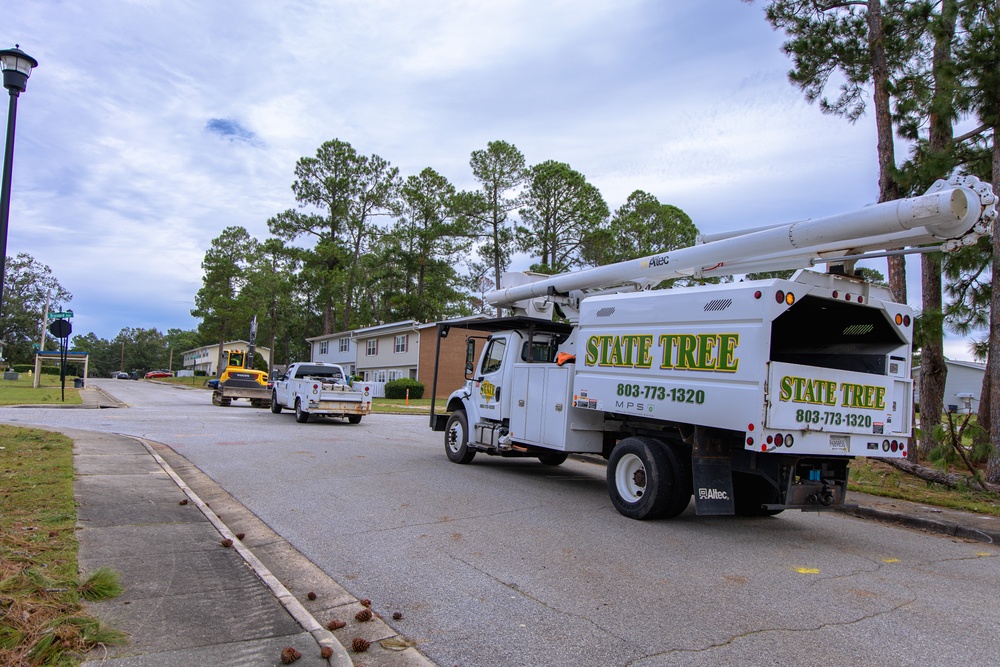 Tree Removal Lining up to do the Heavy Lifting