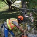 169th Civil Engineer Squadron clears trees after Helene