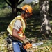 169th Civil Engineer Squadron clears trees after Helene