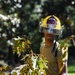 169th Civil Engineer Squadron clears trees after Helene