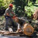 169th Civil Engineer Squadron clears trees after Helene