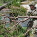 Georgia National Guardsmen provide response and recovery aid post Hurricane Helene