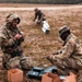 702nd Ordnance Company (EOD) Live Fire Training Exercise 