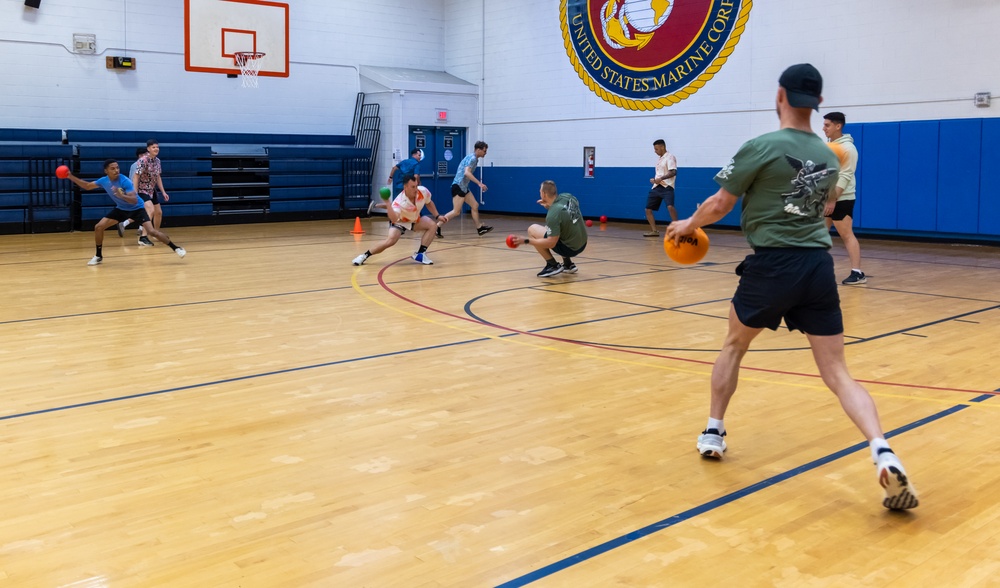 2nd ANGLICO and NATO Allies Compete in Dodgeball Showdown: Burmese Chase 24