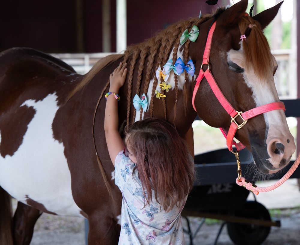 Families harness resilience at therapeutic horse event