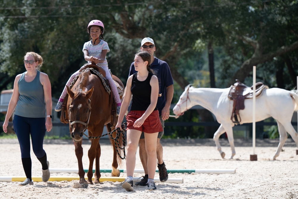 Families harness resilience at therapeutic horse event