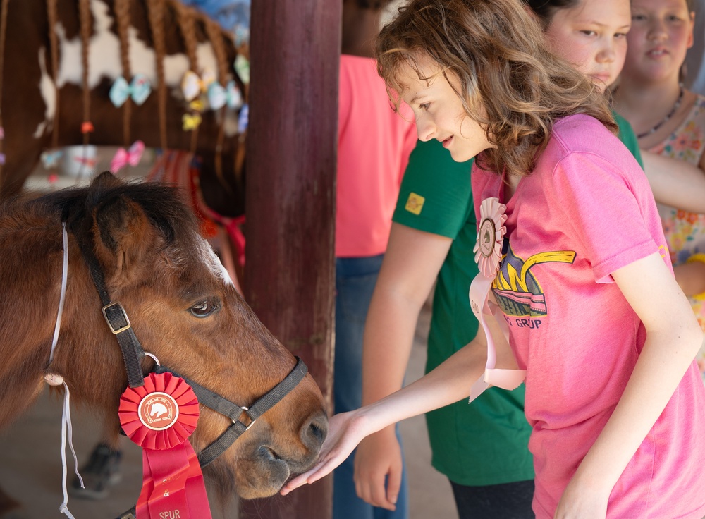 Families harness resilience at therapeutic horse event