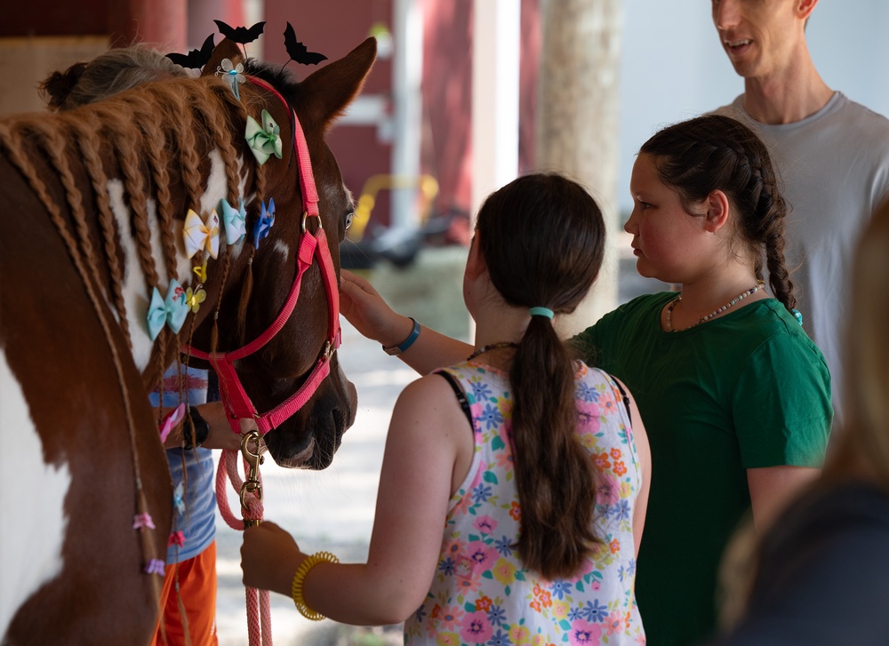 Families harness resilience at therapeutic horse event 