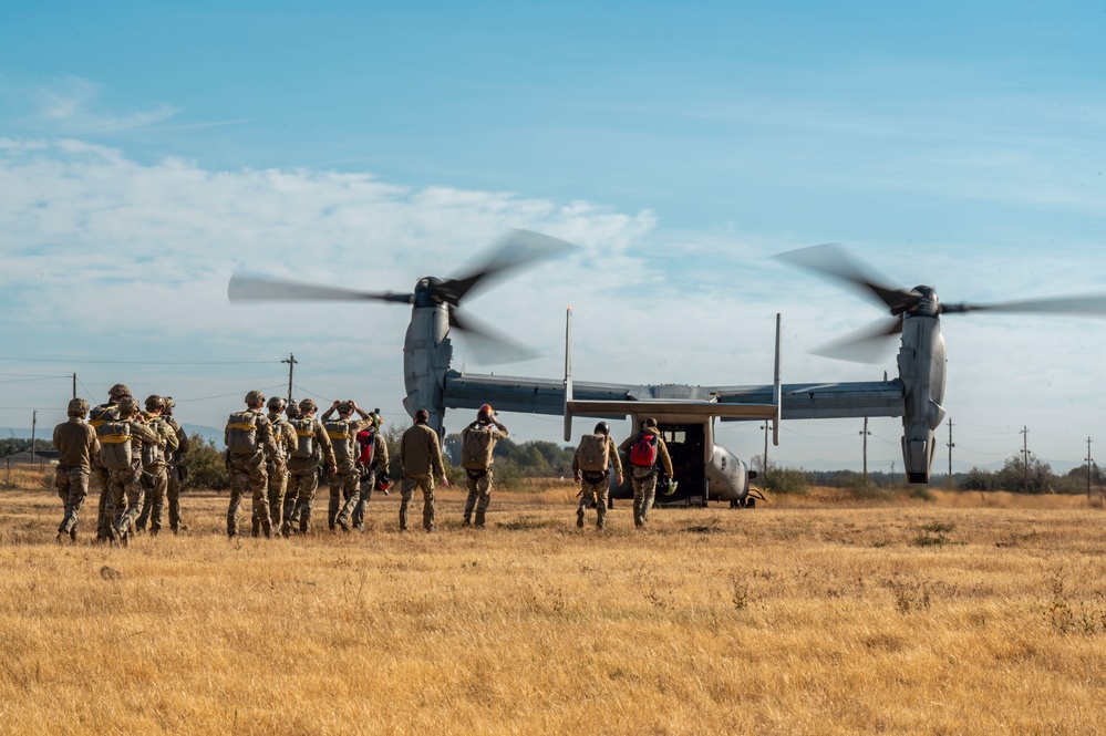 Joint force jump exercise