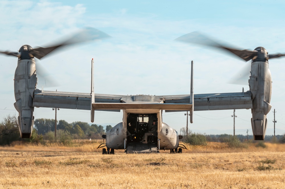 Joint force jump exercise