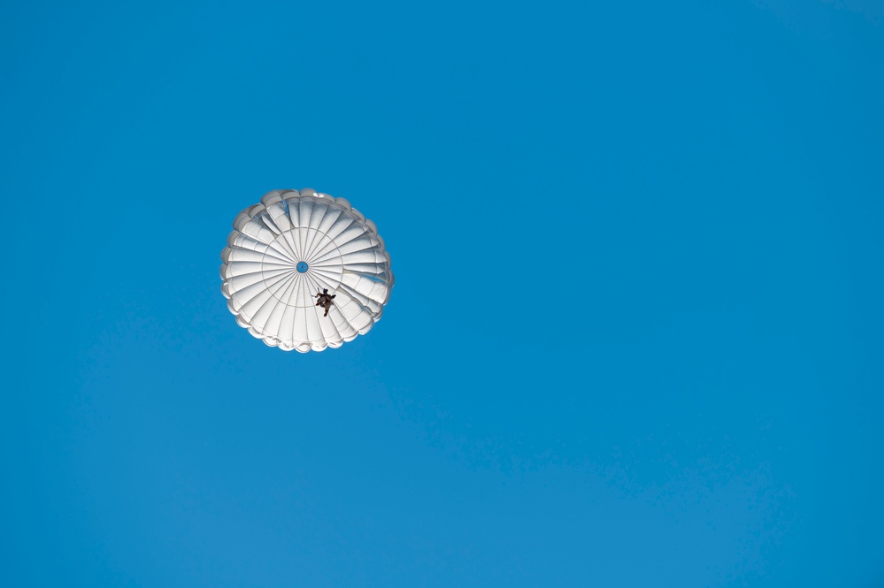 Joint force jump exercise