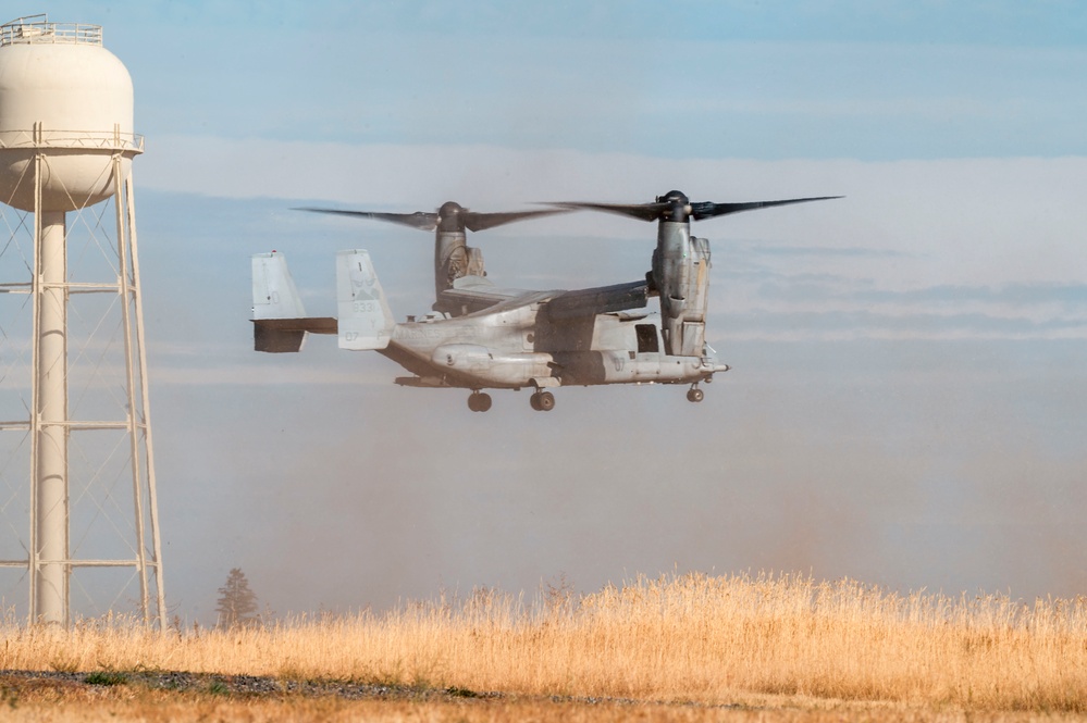 Joint force jump exercise