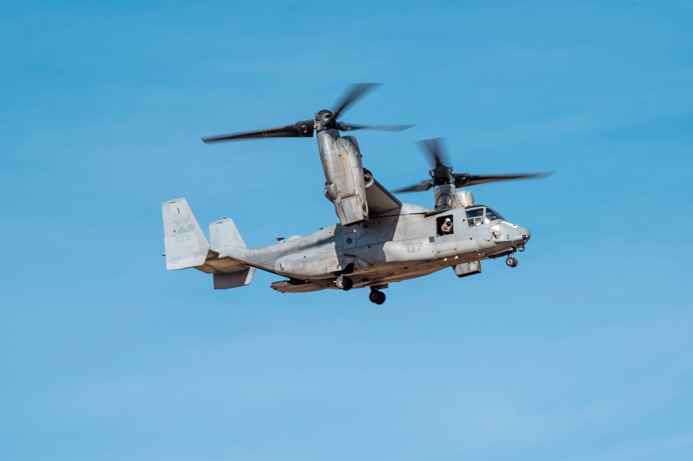 Joint force jump exercise