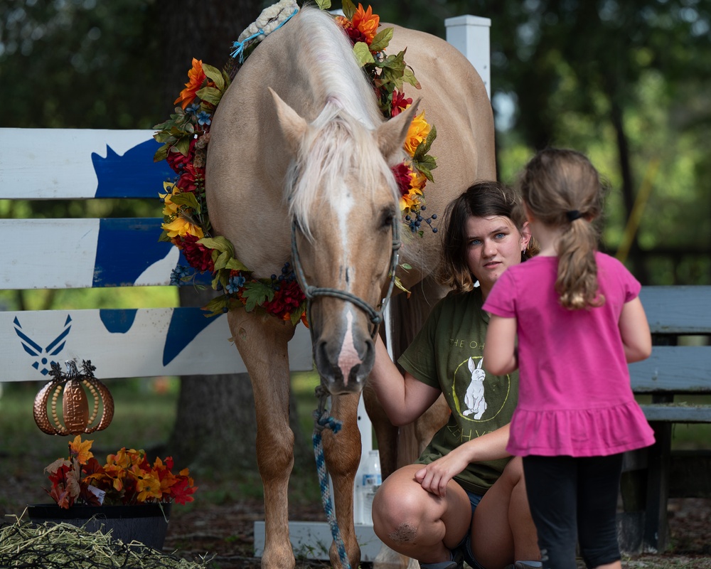 Families harness resilience at therapeutic horse event 