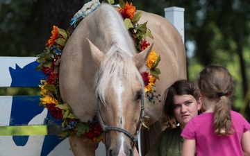 Families harness resilience at therapeutic horse event