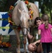 Families harness resilience at therapeutic horse event 