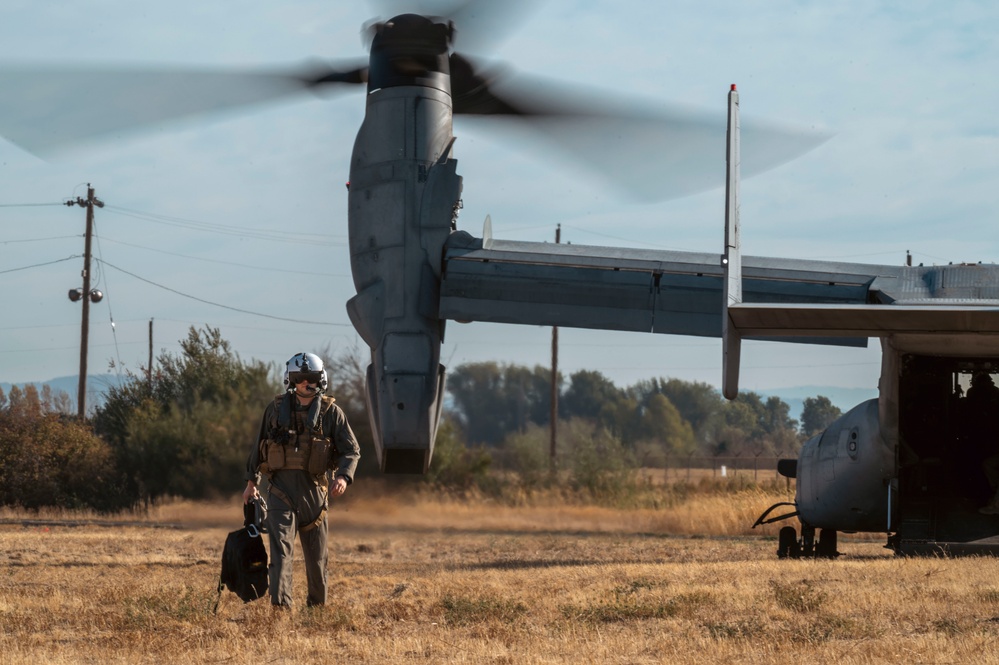 Joint force jump exercise