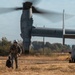 Joint force jump exercise