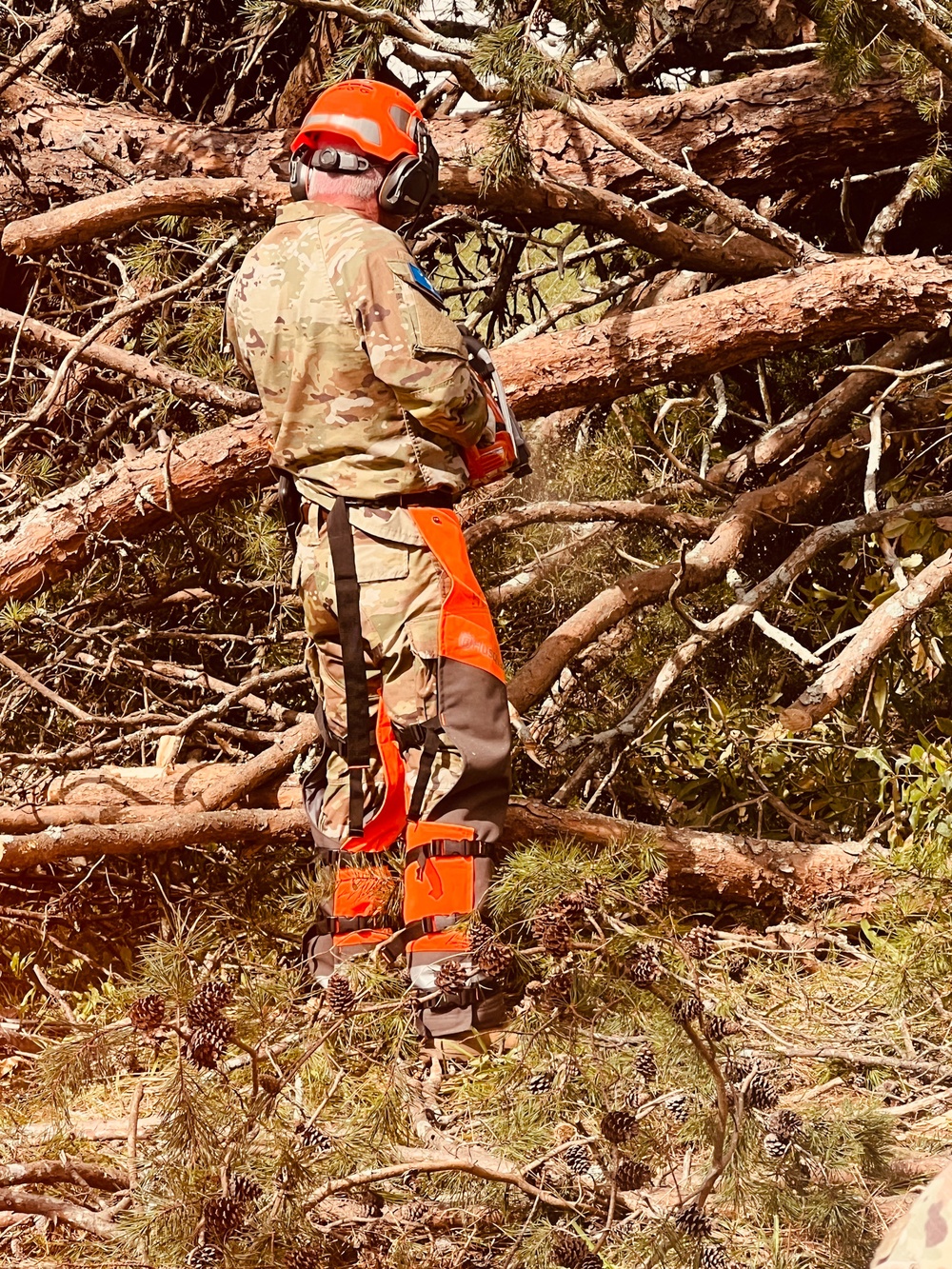 4-118th Infantry Regiment assists tree removal post Hurricane Helene