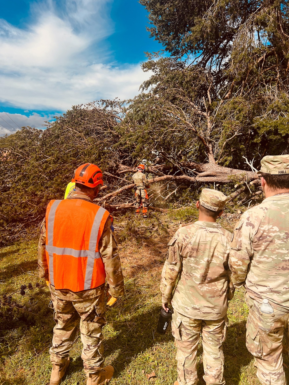 4-118th Infantry Regiment assists tree removal post Hurricane Helene