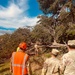 4-118th Infantry Regiment assists tree removal post Hurricane Helene