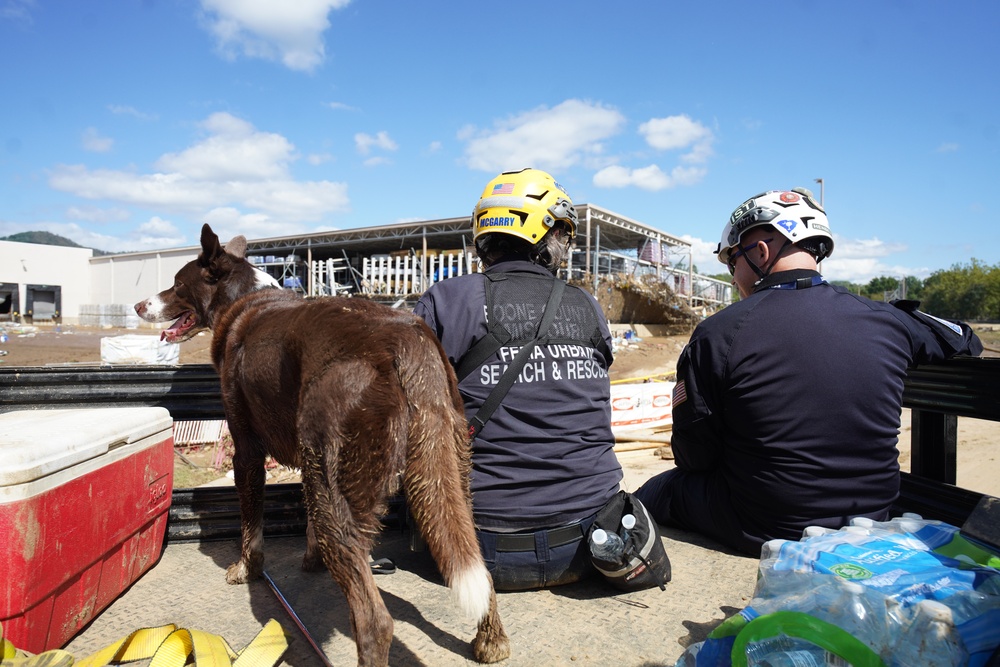 Urban Search and Rescue Team Member and Canine Handler Support Emergency Operations in Western North Carolina