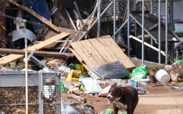 Urban Search and Rescue Team Member and Canine Handler Support Emergency Operations in Western North Carolina