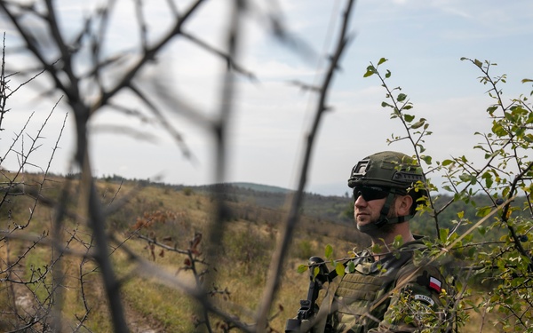 Polish Patrol