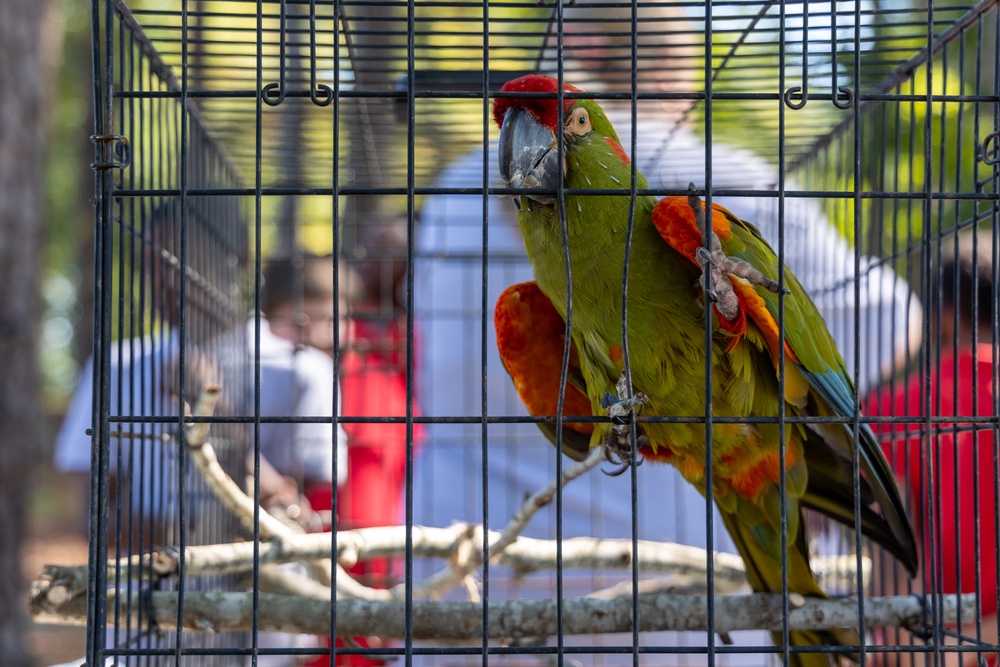 Parrot Exhibit Draws Attention at Special Day for Special People Event