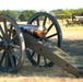 1st Cavalry Division, Horse Detachment Performance