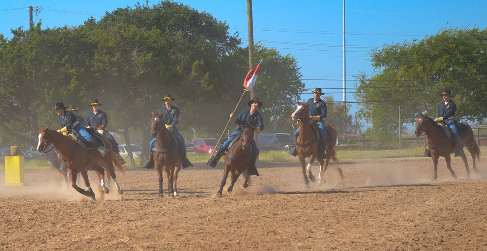 Horse Demo