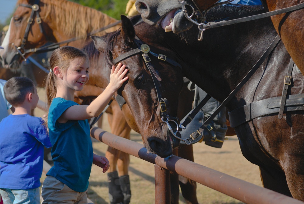 Horse Demo