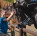 Horse Demo