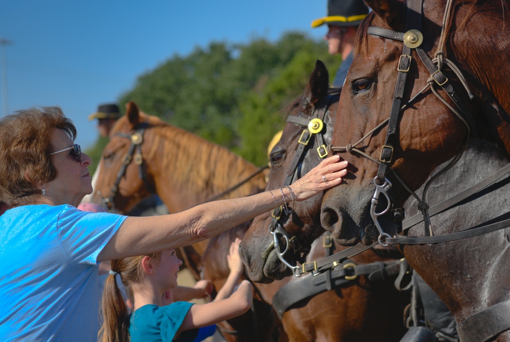 Horse Demo