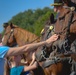Horse Demo