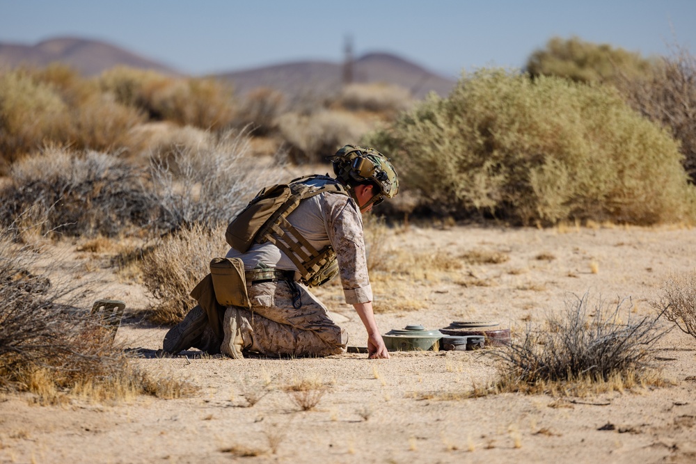 Joint EOD Teams Converge for Field Training Exercise &quot;Obsidian Dragon&quot;