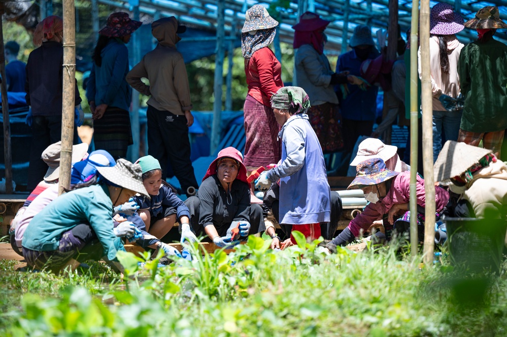 DPAA recovery team investigates site in Vietnam