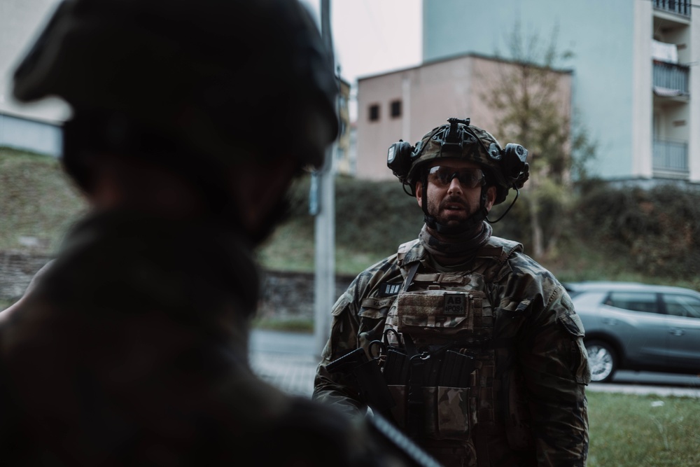 Task Force Pegasus Begins POWERFUL WORD 2024 Multinational Exercise in Czech Republic