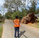 South Carolina Debris Assessment