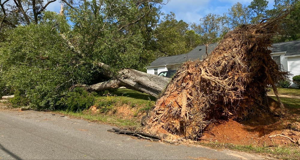 South Carolina Debris