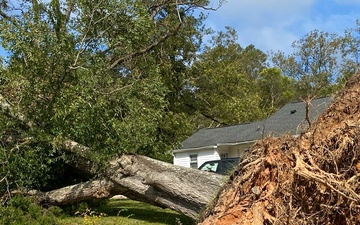 South Carolina Debris