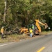 South Carolina Debris