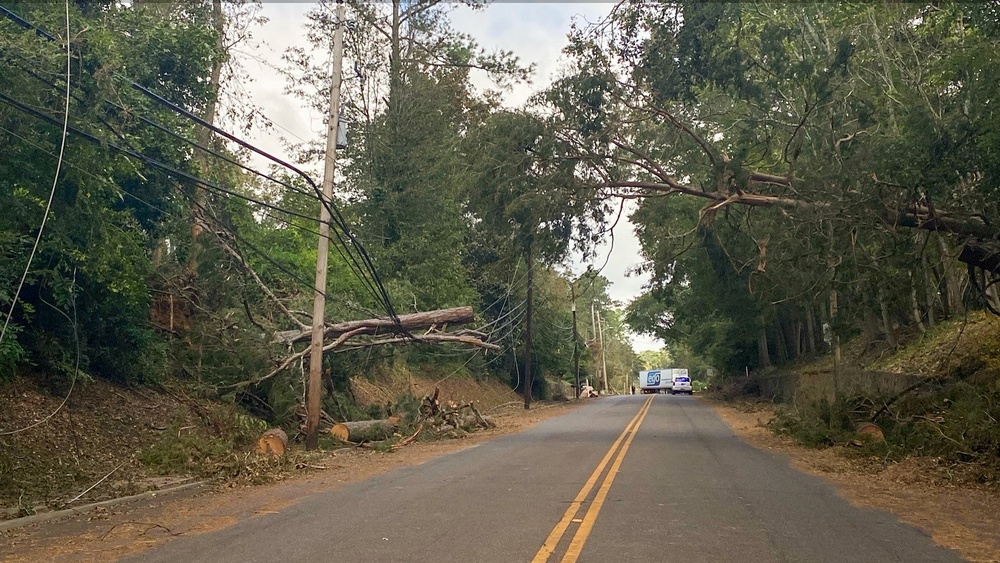 South Carolina Debris