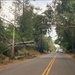 South Carolina Debris