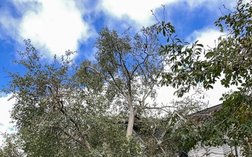 South Carolina Debris