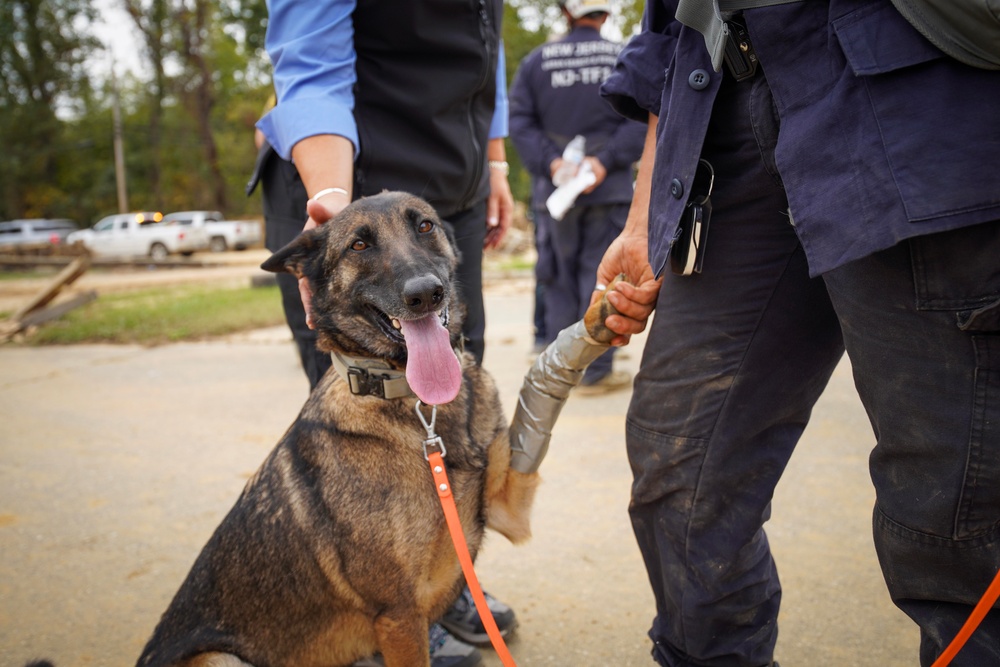 New Jersey Task Force 1 Urban Search and Rescue Team Conducts Operations in Buncombe County Following Hurricane Helene