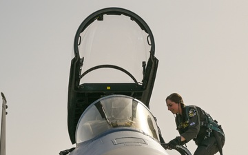 Griffins train within united F-15 Eagle community at Nellis AFB