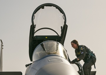 Griffins train within united F-15 Eagle community at Nellis AFB