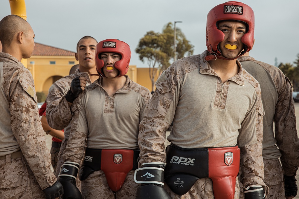 Alpha Company Body Sparring