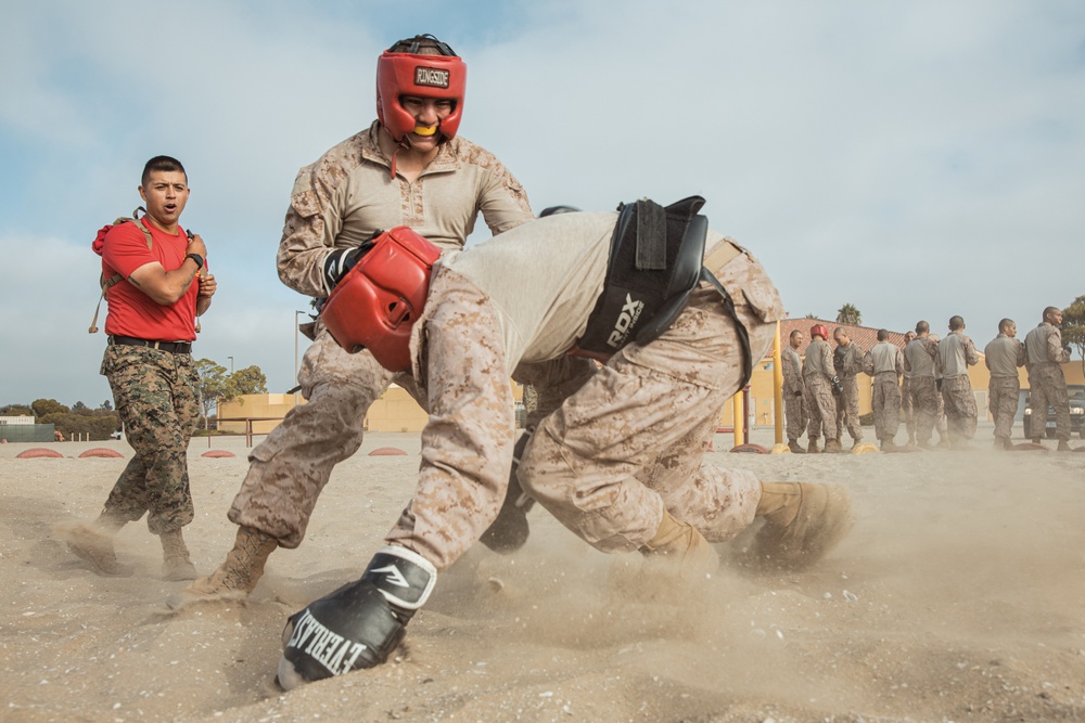 Alpha Company Body Sparring